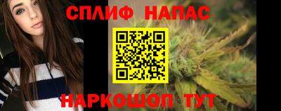 гидра Шахты