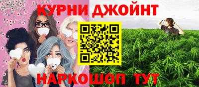 гидра Шахты