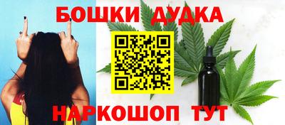 гидра Шахты