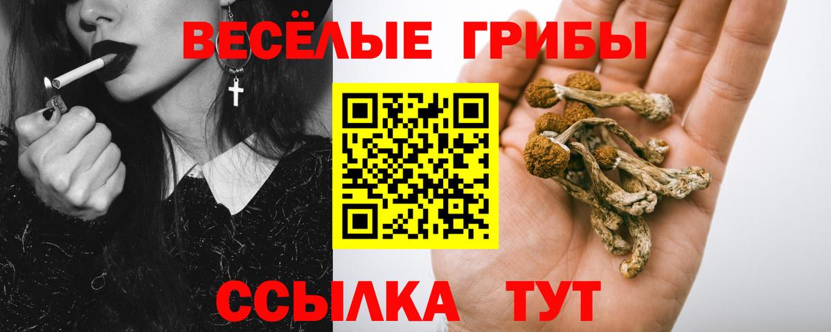 Псилоцибиновые грибы MAGIC MUSHROOMS  Псилоцибиновые грибы мухоморы  Чита  Вход с VPN 