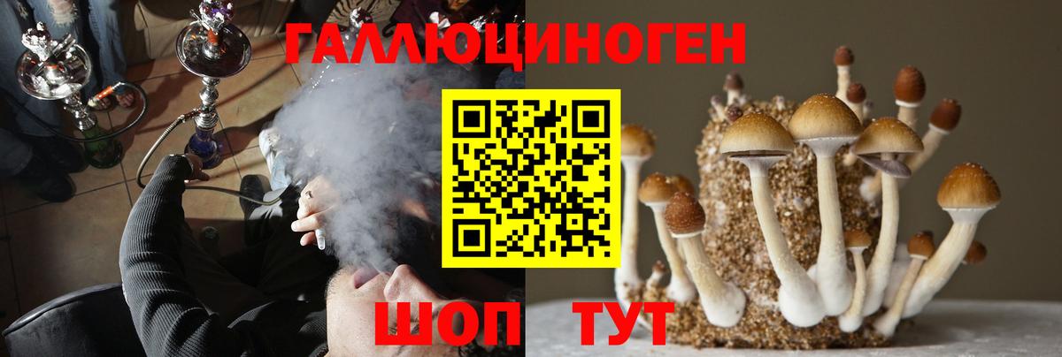Псилоцибиновые грибы GOLDEN TEACHER Чита